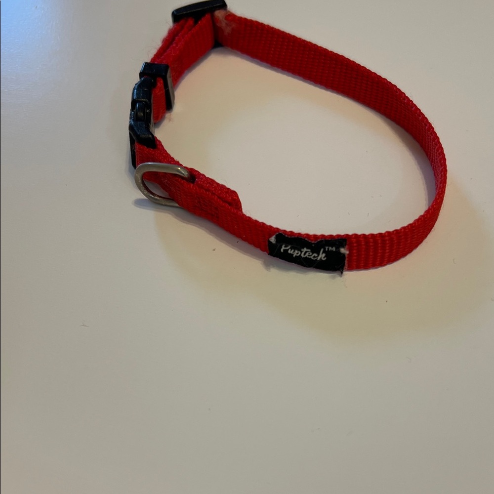 Red Puptech Dog Collar